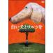 [ б/у ] белый собака .warutsu.[ прокат ] [DVD]