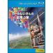 [ б/у ] Karl .. san. пустой .. дом [ прокат ] [Blu-ray] [ Blue-ray ]