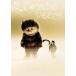 [ б/у ] [ есть перевод ] [ диск только ]........ .. место [ прокат ] [DVD]