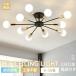 �V�[�����O���C�g LED �k�� �Ɩ���� ������� �y���_���g���C�g �������F 6�� 8�� 10�� �����R�� �C���e���A ���_�� �V��Ɩ� �d�C �Ɩ� �_�C�j���O ���r���O