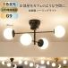 �V�[�����O���C�g �y���_���g���C�g�k�� 6�� 8�� LED �ی^ �V���v�� ������� �O�F�ό� ���| �C���e���A ���_�� �V��Ɩ� �Ɩ���� �Q�� �a�� �ԐڏƖ� ��t�ȒP