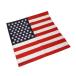 �o���_�i AMERICAN FLAG ������ �A�����J���� �n���J�` �唻 55�~55cm