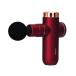 [ оплата при получении не возможно ] Alinco массажер корпус Shape gun MCB020R [ красный ]