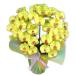  artificial flower photocatalyst . butterfly orchid large wheel light yellow yellow color M 5ps.@..