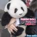  Panda мягкая игрушка цветок цветок . орхидея возраст 5. месяц симпатичный Panda Panda завод PANDA FACTORY Dakimakura часть магазин украшение ... промежуток дом офис уход за детьми . оборудование орнамент интересный . симпатичный ..