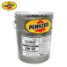 5W-30 PLATINUM 5W-30 20L SP A1/B1 GF-6A�ڥ󥺥����� PENNZOIL �ץ���ʥ� ������ޥ��ƥ������� ���󥸥󥪥��� �����ܼ֤ʤ�