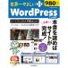 䤵ץ饹 WordPress 5.x б (ץ쥹å)