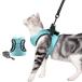  кошка для Harness шлейка безопасность ошейник кошка Lead для домашних животных Basic ошейник приспособление для ходьбы .. обивка предотвращение . пробег предотвращение супер-легкий 50 g не достиг .(L...)