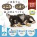 ���� �� �C���[�N���[�i�[ NORMAL 100ml ���|�� �@����� �N���[�i�[ �j�I�C �ێ� �Z���~�h �q�A�������_ �b��t�ďC �֘A�摜1