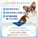 ���� �� �C���[�N���[�i�[ NORMAL 100ml ���|�� �@����� �N���[�i�[ �j�I�C �ێ� �Z���~�h �q�A�������_ �b��t�ďC �֘A�摜3