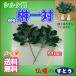 �V���N���� ���(2�{) ����33cm ���[���� �������� ���Ƃ��I���W�i�� ���Ƃ� �֘A�摜3