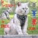  кошка Harness .. кошка для Lead есть шлейка .. трудно выпадение трудно body . добрый двойной блокировка симпатичный одежда Harness земля . предотвращение бедствий эвакуация бедствие маленький размер собака 