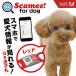 Scamee! for dogs Cami -[M] red red seal 5 sheets &si Ricoh n plate tag set DGSL-A6-S005-01M-RED