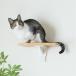 CAT FREELY кошка подножка белый 