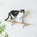 CAT FREELY кошка walk наклонение модель белый 