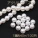 ӡ ѡӡ ݶ 12mm1Ϣ40