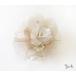 [ нестандартная пересылка OK290 иен ] букетик / жемчуг & стразы сверху товар гонки цветок лента зажим c47* белый бежевый церемония окончания 