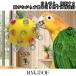 �C���R �������� �Z�L�Z�C�C���R �I�E�� �����肨������ �A�X���`�b�N �̉a�҃{�[�� ���̒m�\���� �J���t�� �H�̂���F�B �֘A�摜3
