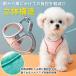 �� �n�[�l�X ���^�� ���^�� ��^�� ���[�h �Z�b�g ������� �����ɂ��� �L �\�t�g�n�[�l�X �E�F�A�n�[�l�X �� �� �C�k �l�R �y�b�g �������� �h�~ �֘A�摜2