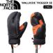  сноуборд перчатка THE NORTH FACE North Face WALLRIDE TRIGGER SE wall ride выключатель 
