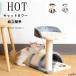  кошка для башня для кошки кошка tower Mini type коготь .. днем . tower кошка. игрушка compact сборка простой движение нехватка -тактный отсутствует аннулирование relax установка сборка простой 