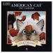 2027 год LANG Mini календарь AMERICAN CAT 18×18cm импорт версия орнамент кошка животное 
