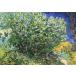  открытка go ho lilac втулка 150×105mm сообщение карта mail открытка искусство 