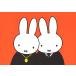  открытка иллюстрации Miffy Dick * bruna Miffy Хара . книга с картинками герой ... симпатичный брак праздник .