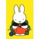  открытка иллюстрации Miffy Dick * bruna вязание . делать Miffy мама книга с картинками герой . животное симпатичный 