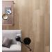ʣإӥ˥뾲 Ĵ 륦åɡ󥰡228.6mm1422.4mm ٤6顼  PWT3208PWT3294ʥ