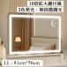 ���D�~���[ ��� �n���E�b�h�~���[ �h���b�T�[ �Ǌ|�� �d�� ���ϋ� ���C�g�t�� �g�勾 LED���ϋ� ���~���[ ���σ~���[ LL