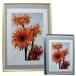 �|�X�^�[�t���[�� SOFKEN �\�t�P�� �X�����G�C�g B3 �S�[���h �A���~�t���[��