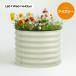 �yL60�~W60�~H43cm�z���C�Y�h�x�b�h �K�[�f���x�b�h ����Ȃ� �� ��� �v�����^�[ ��^ �K�[�f���t���[�� ������� ���O �ƒ�؉� �֘A�摜2