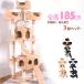  башня для кошки .. класть полная высота 185cm кошка для модный коготь .. кошка tower кошка tower кошка для кошка сопутствующие товары много голова .. лен шнур сверху задний .. кошка house имеется .. дом много голова ..
