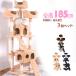  cat tower .. put total height 185cm cat for stylish nail .. cat tower cat tower cat for cat supplies many head .. flax cord on rear .. cat house attaching .. house many head ..