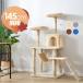  cat tower .. put hammock attaching total height 145cm stylish nail .. flax cord cat tower cat tower cat for cat supplies many head ..