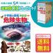  Shogakukan Inc.. иллюстрированная книга NEO опасно живое существо DVD есть ( место хранения BOX есть * бесплатная доставка * условия иметь )