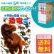 [ extra attaching ] Shogakukan Inc.. illustrated reference book NEO[ new version ] dinosaur DVD attaching ( storage BOX attaching * free shipping * conditions have )