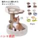  башня для кошки кошка tower коготь .. маленький размер сборка простой кошка игрушка мяч имеется -тактный отсутствует аннулирование днем . tower кошка для салон движение нехватка аннулирование 
