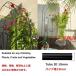 �K�� �Ȃ� �t�����[�A�[�` �� 80/120/140/180/200/240/280/300/350cm �K�[�f���K�N�A�[�` ���[�Y�g�����X �I ������ �A�C�A���A�[�` �A���o�R�p �u�h�E�I �����I �֘A�摜5