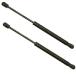 2Pcs Front HOOD Struts Lift Supports Compatible With 1995-2001 740I / 1995-2001 740IL / 1993-2001 750IL (Note: Body Code: E38- Non Aluminum Hood)) Sho