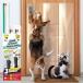 Panther Armor 3-Pack Door Protector from Dog ޤȤ - 3 x 40