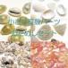 小さな貝殻パーツ 貝殻お試し＆お買い得セット  ゆうパケット送料無料＞