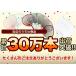 ������ ���肤����L�b�g �������� 1�Z�b�g12�{���I�I�ׂ�6�F+�N���A�I  �H�� ���������ԁ@�X�e�C�z�[�� �������� �f�R������ �֘A�摜1