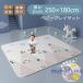 ���݌ɃZ�[�����x�r�[�}�b�g �v���C�}�b�g 180*200cm ���� 2.5cm ���炩�N�b�V�����}�b�g ���[���}�b�g XPE�f�� �h�� �h�� �R�� ���g�[�Ή� �h��