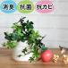  fake green potted plant deodorization stylish real small size [ photocatalyst .. convenient CT catalyst shuga- Vine ceramics pot entering M size ]