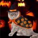  Halloween домашнее животное шляпа манто 2 позиций комплект для домашних животных манто Mahou Tsukai. манто кошка собака накидка маскарадный костюм костюмы Event 