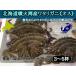  Hokkaido Hakodate . огонь . производство wataligani мужской 1kg хлопчатник ...