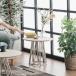  Beverly ширина 60 боковой стол стол боковой стол Beverly 60 боковой стол Cafe стол living стол круг стол Cafe нагрудник 