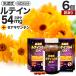 �󂠂� �T�v�� ���e�C�� �[�A�L�T���`�� �}���[�S�[���h �A�E�g���b�g 120��*6�Z�b�g ��360���� �ܖ�����2027�N7���ȍ~ �������� ��z��